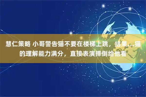 慧仁策略 小哥警告猫不要在楼梯上跳，结果…猫的理解能力满分，直接表演摔倒给他看